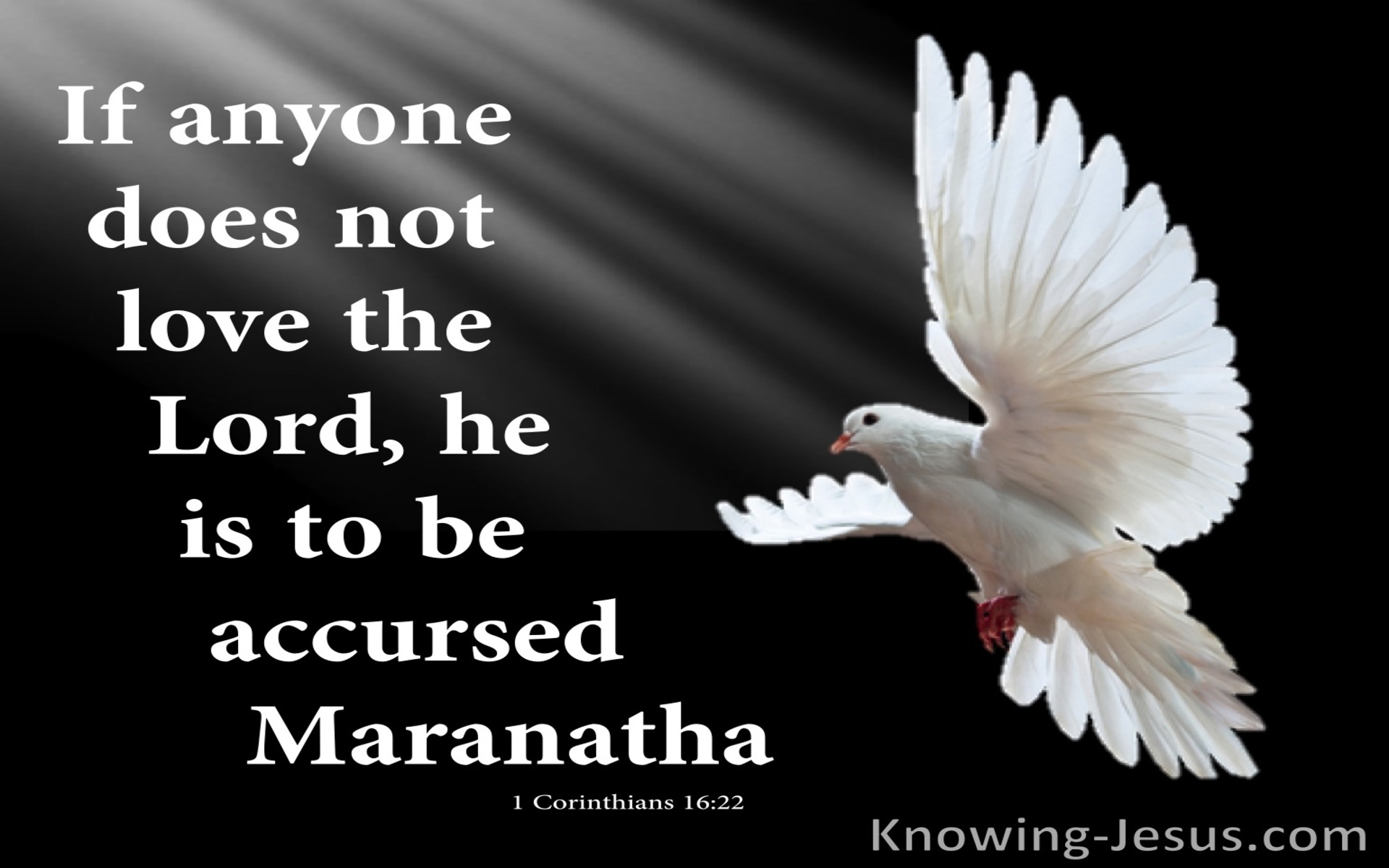 1 Corinthians 16:22 He Is To Be Accursed (black)